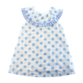 Blue Dotted Sheer Dress