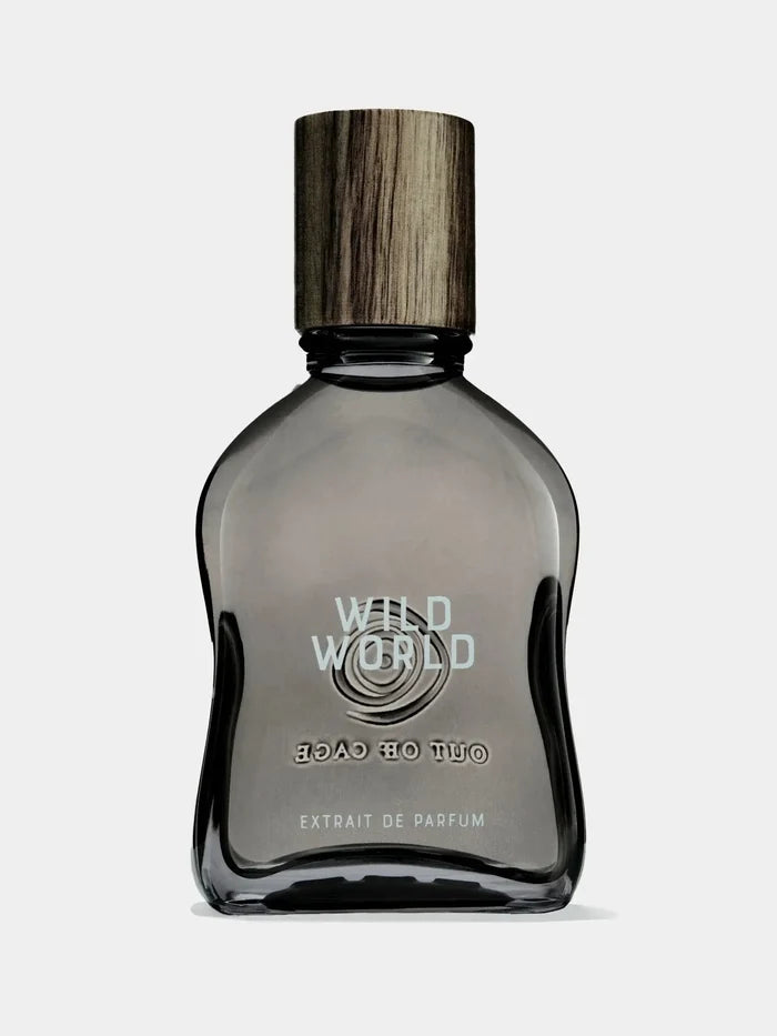 Wild World extrait
